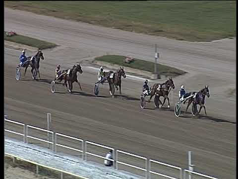 Trotto 28/09/2018 - 1ª prova di qualifica