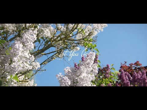 Tim Schaufert & CASHFORGOLD - Let You Go (AK Remix)