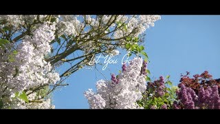 Tim Schaufert &amp; CASHFORGOLD - Let You Go (AK Remix)