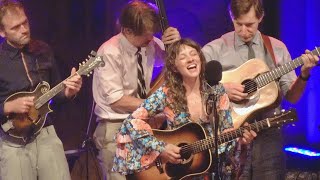 Punch Brothers & Watchhouse, I Must Be In A Good Place Now, live at Mountain Winery (4K)