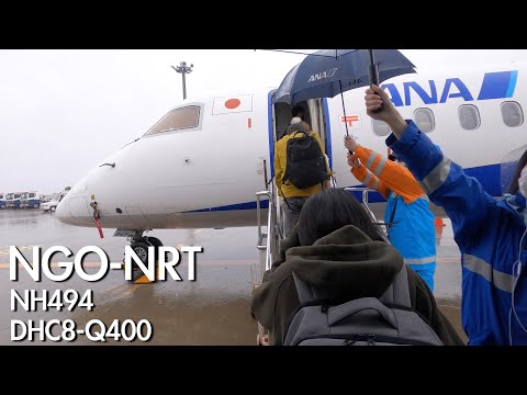Miniatura YouTube dla ANA De Havilland (Bombardier) DHC-8 Dash 8