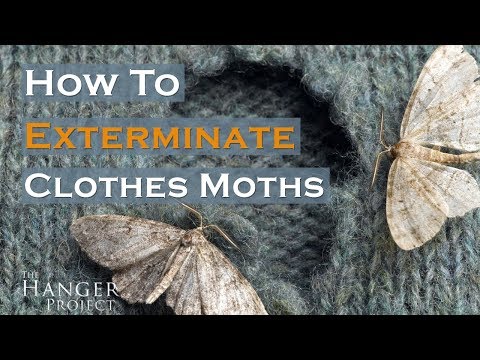 image-Do you protect your clothes from moth damage? 