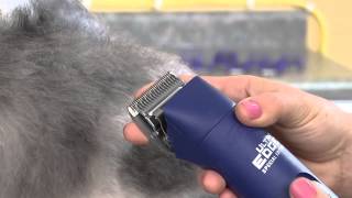 ProClip UltraEdge Super 2-Speed Detachable Blade Clipper - 22405, Blue AGC2