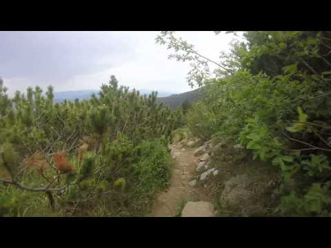 Coborare de la cabana Dochia prin Poiana Maicilor 1