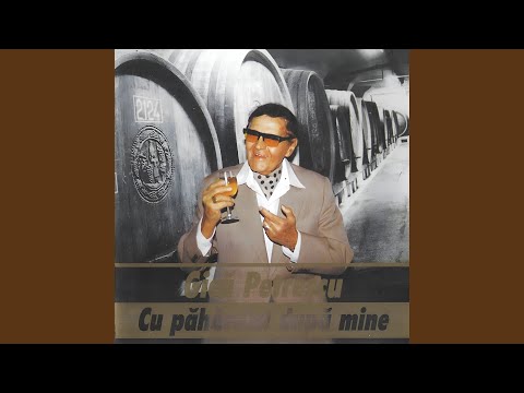 Hai Sa Bem Un Paharel