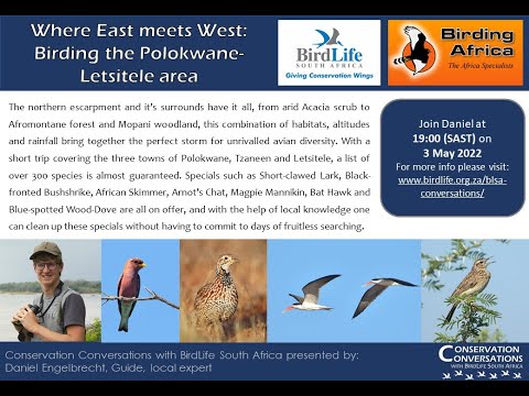 Conservation Conversations: Avitourism in Polokwane - Daniel Engelbrecht (3May22)