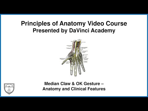 Median Claw & OK Gesture - Anatomy and Clinical Features [Upper Limb Anatomy 18 of 18]