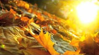 Yuji Ohno - Autumn Leaves