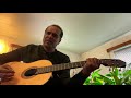 Thene Thenpandi Meene Tamil Song Guitar Cover