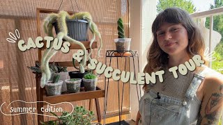 my outdoor cactus & succulents updates 🌞🌵 2 months outside