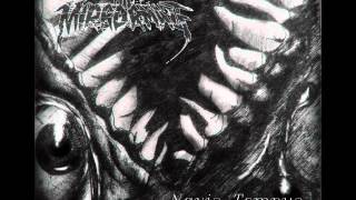 THE MIRROR MAZE -- IV.