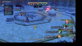 ヒーラーパラディン