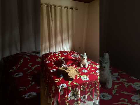 Oportunidade de investimento, chácara a venda em Rio bananal ES.