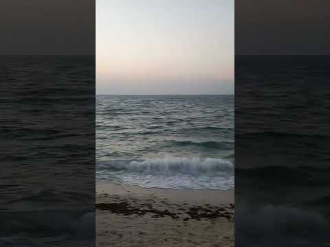 #sharjah #rola#beach#new #rell#nice place ####