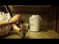 Chocolate Coffee Ice Cream/ Ice Milk by DIANE LOVE ...