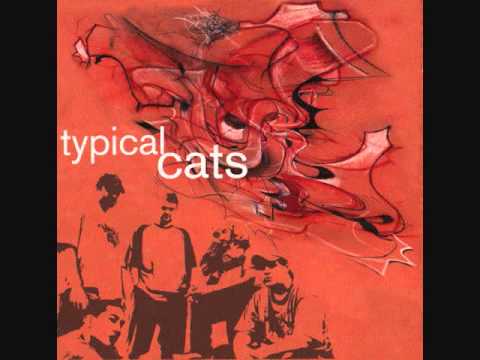 Typical Cats (2001) [Full Album]