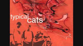 Typical Cats (2001) [Full Album]
