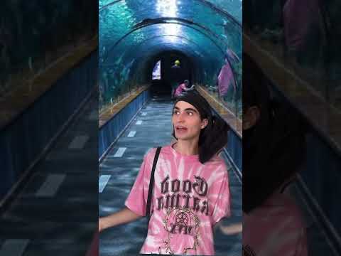 THE UGLIEST FISH IN THE WORLD 🐟