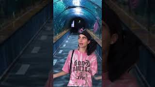 EL PEZ MAS FEO DEL MUNDO 🐟