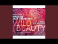 Wild Beauty (feat. Joe Lovano)