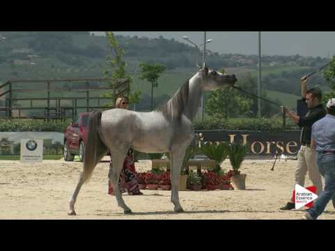 Montefalco 2016 - Classe 5