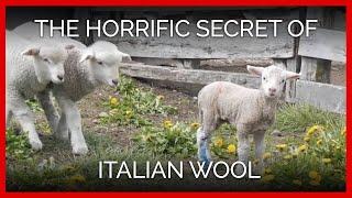 Exposed: Horrific Secret of &#39;Italian Wool&#39;