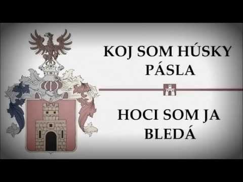 Piesne z Gemera 025 - KOJ SOM HÚSKY PÁSLA / HOCI SOM JA BLEDÁ