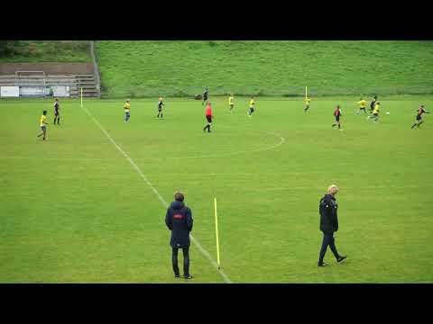 SC Borea Dresden -  VFB Fortuna Chemnitz (15:0)