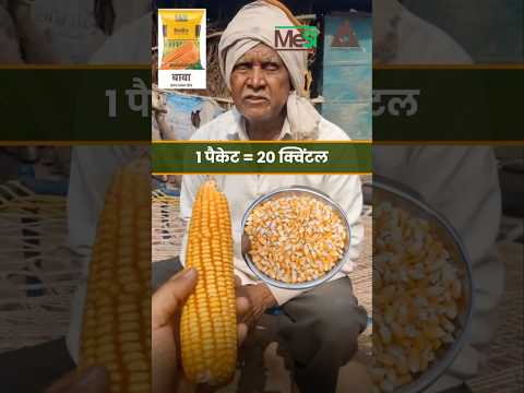 Mahimana Solanki - Baba Maize