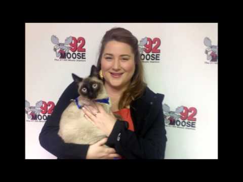 Erika Joyce - KVHS on 92 Moose