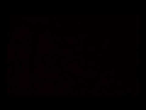 Ansambel Klunker; Neiu armas, neiu kallis