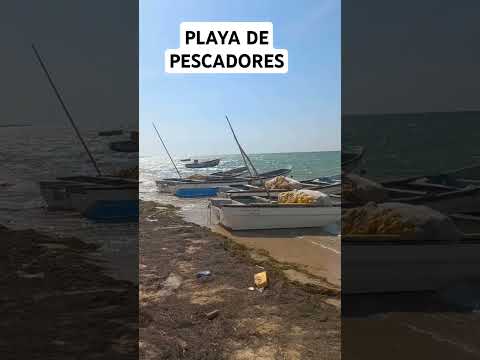 manaure,la guajira #familiaviajera #renault12