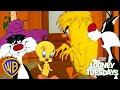 Looney Tuesdays Sylvester VS Tweety Wbkids​