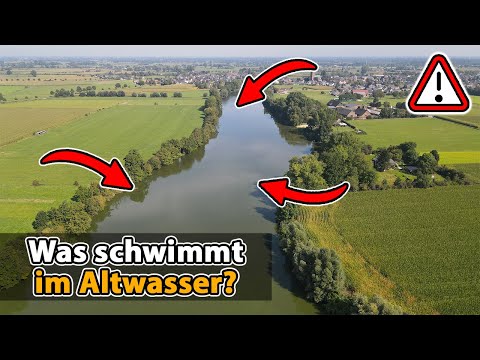 Tench and eel fishing with float and feeder (exceptional fish caught)