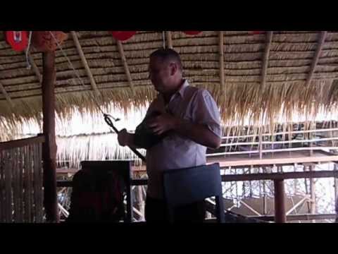 mikame sucker die box