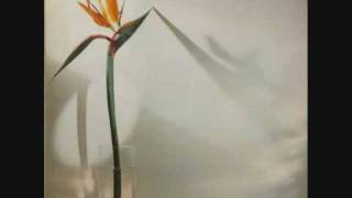 New Musik - From the Village