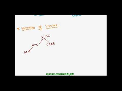 FSc Biology Book1, CH 5, LEC 6: Classification and Structure of Viruses