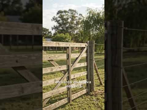 Video de YouTube - Terreno en Nueva Helvecia