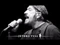 Ian Anderson - Calliandra Shade (Ian Anderson Plays The Orchestral Jethro Tull)