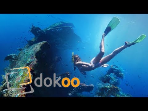 Tauchen am Limit | Doku