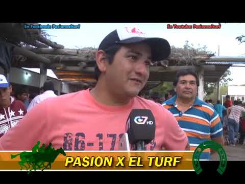 TENTADOR   ARBOL SOLO 30 10 17