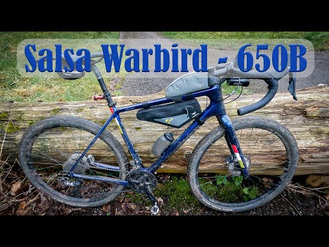 Salsa Warbird - 650B Mode!