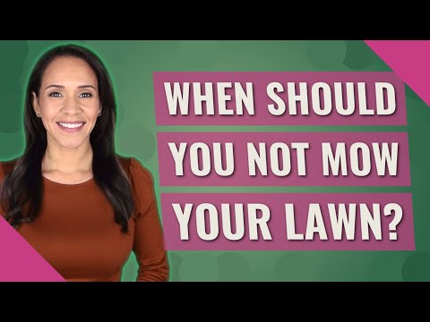 When should you not mow your lawn?