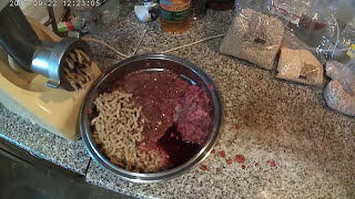 Прикормка для хищной рыбы летом