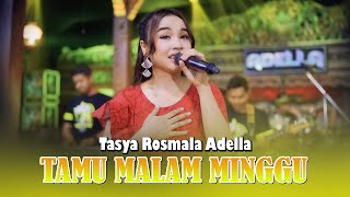 Download lagu TAMU MALAM MINGGU - Tasya Rosmala Adella - OM ADELLA, DANGDUT KOPLO VIDEO LIRIK mp3