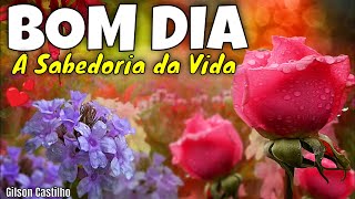 A Sabedoria da Vida I Linda Mensagem de Bom Dia