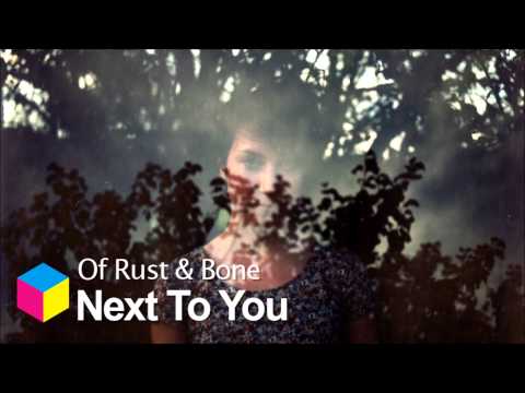 Of Rust & Bone - Next To You