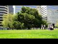 Beth Fein and Dancers at Frank Ogawa Plaza, 2008.