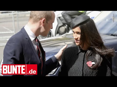 Flirts, Küsschen, Berührungen - Palast-Insider behauptet: Meghan stand eigentlich auf Prinz William
