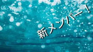 新メンバー(コラボ)